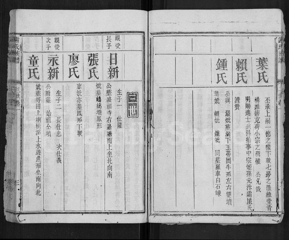 图片[7]-广东梅州平远差干谢氏族谱电子版PDF下载-中华家谱网