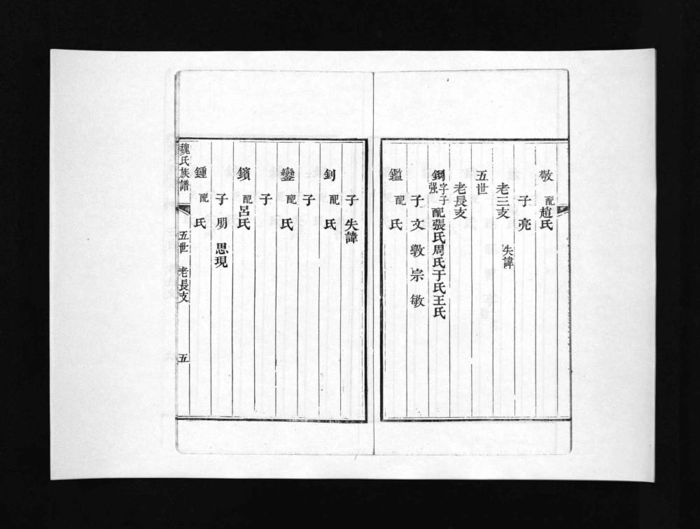 图片[8]-山东淄博博山区盆泉魏氏族谱电子版PDF下载-中华家谱网