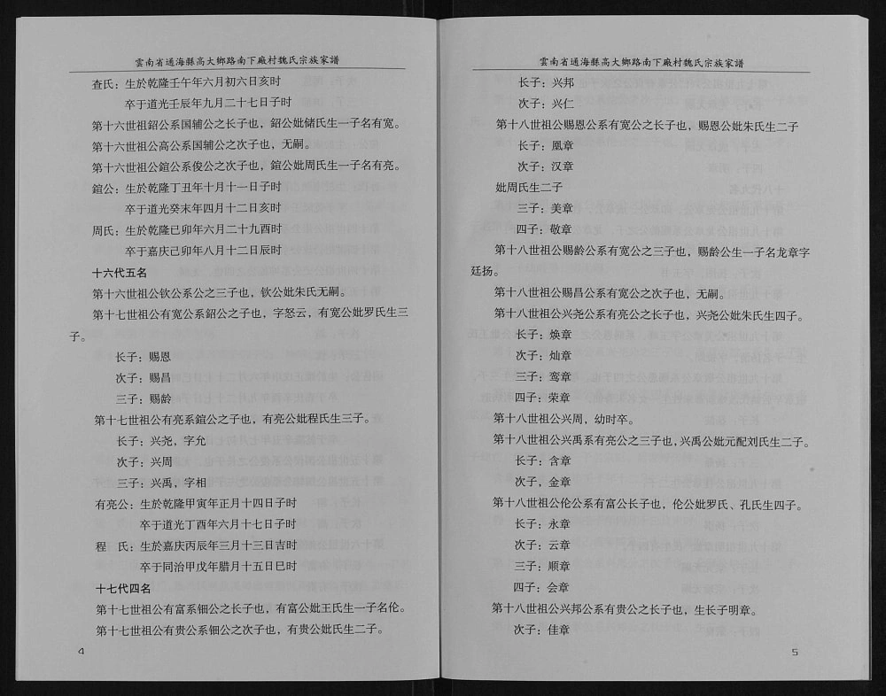 图片[5]-云南玉溪通海县高大乡路南下厂村魏氏宗族家谱电子版PDF下载-中华家谱网