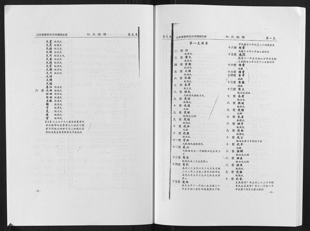 图片[6]-山东莱州沙河镇西杜家村杜氏族谱电子版PDF下载-中华家谱网