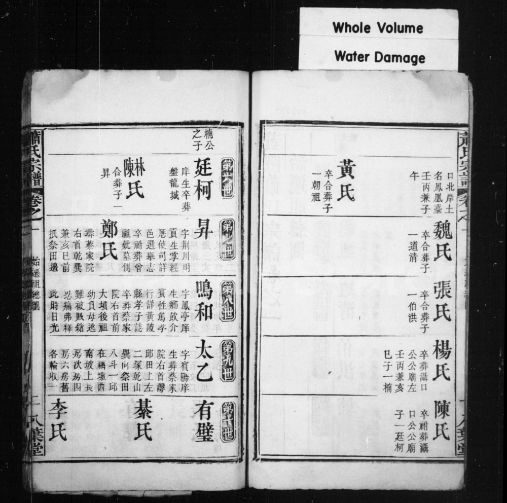 图片[6]-湖北武汉黄陂区萧(肖)氏凤亭公宗谱（八叶堂）电子版PDF下载-中华家谱网