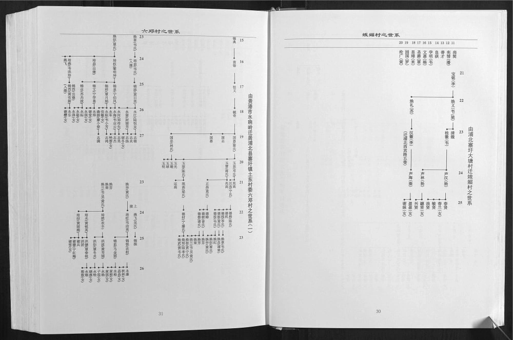图片[7]-广西钦州灵山县北部湾谢氏族谱电子版PDF下载-中华家谱网