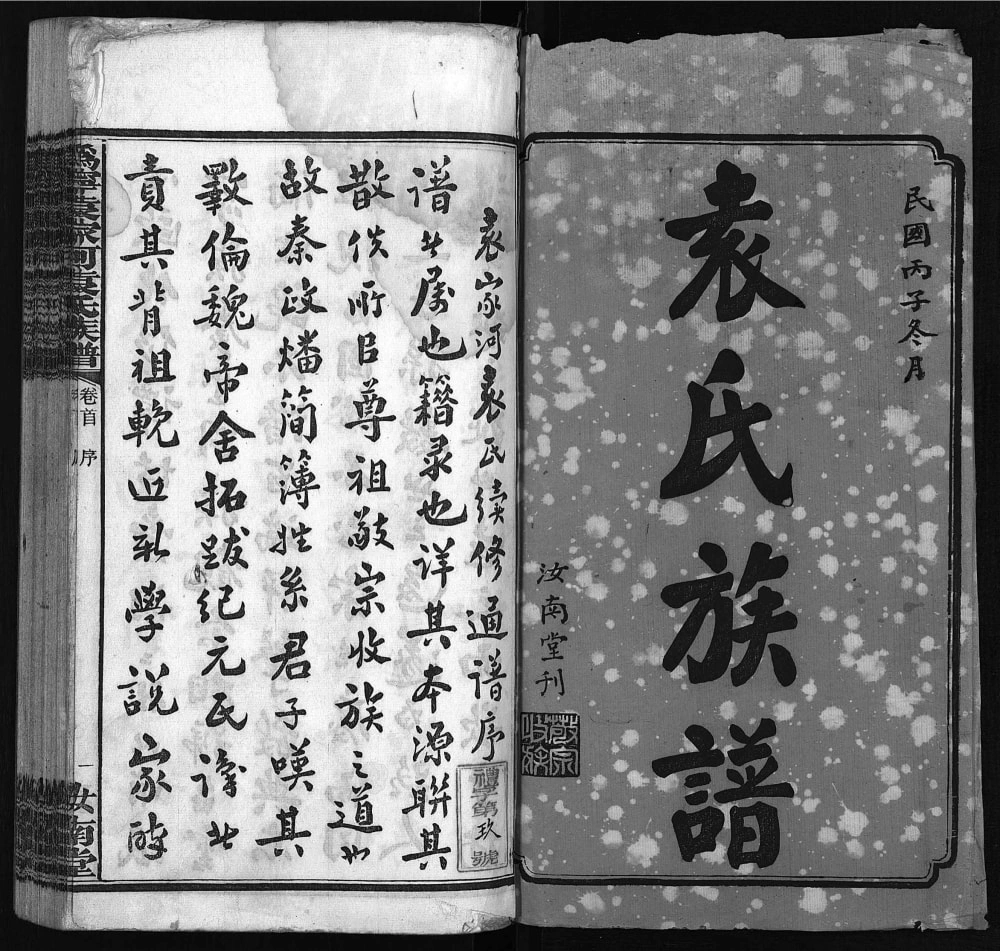 图片[2]-湖南宁乡沩宁袁家河袁氏族谱（汝南堂）电子版PDF下载-中华家谱网