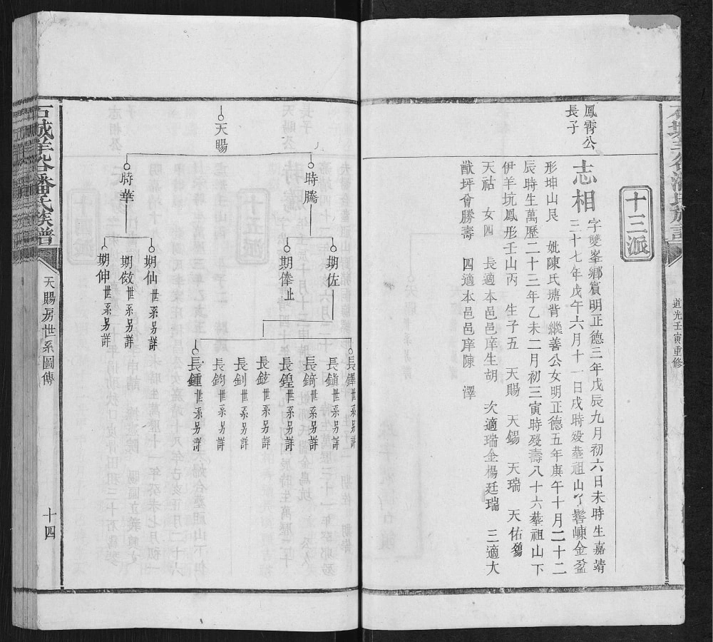 图片[8]-江西赣州石城羊谷潘氏族谱（荥阳堂）电子版PDF下载-中华家谱网