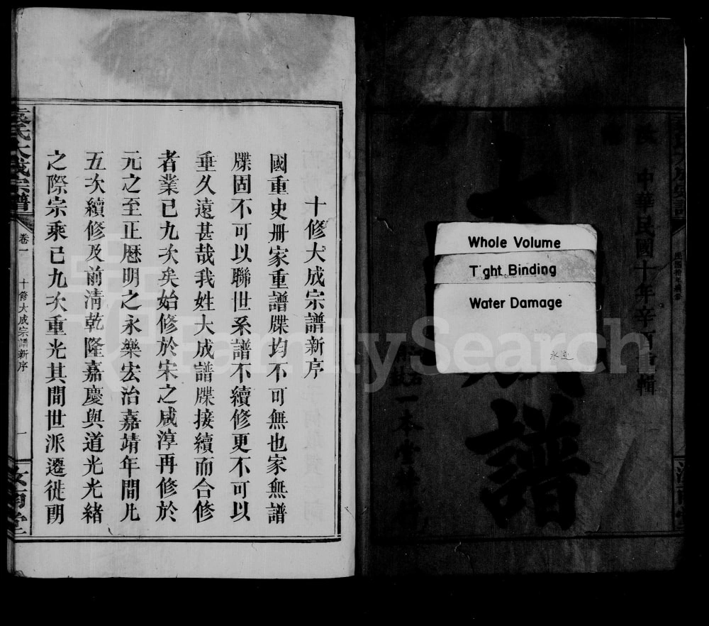 图片[2]-江西袁氏大成宗谱（汝南堂）电子版PDF下载-中华家谱网