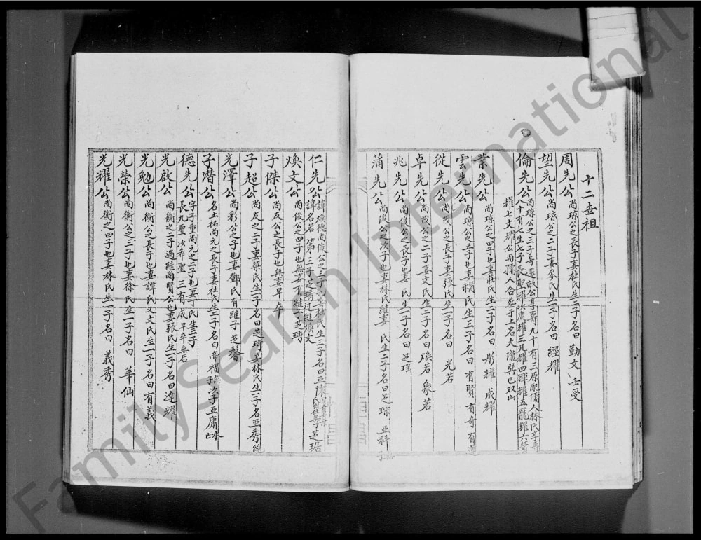 图片[7]-广东深圳宝安粉岭彭氏族谱电子版PDF下载-中华家谱网