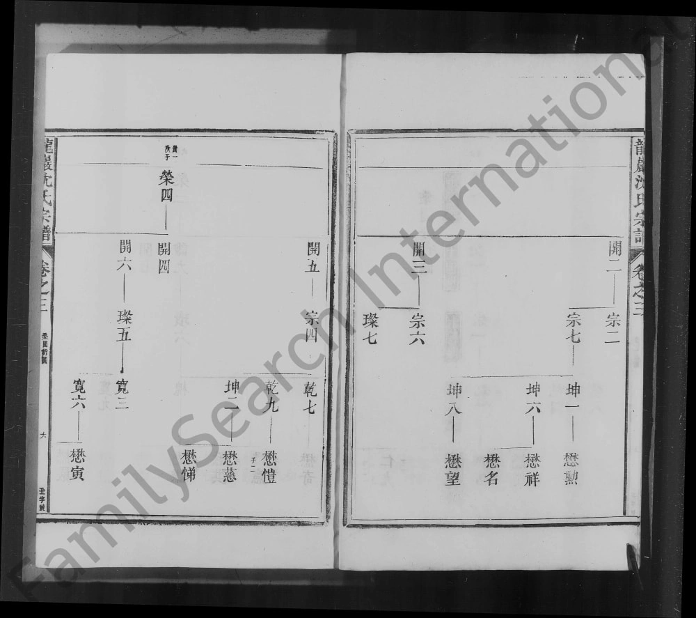 图片[8]-安徽池州石台县龙岩沈氏宗谱电子版PDF下载-中华家谱网
