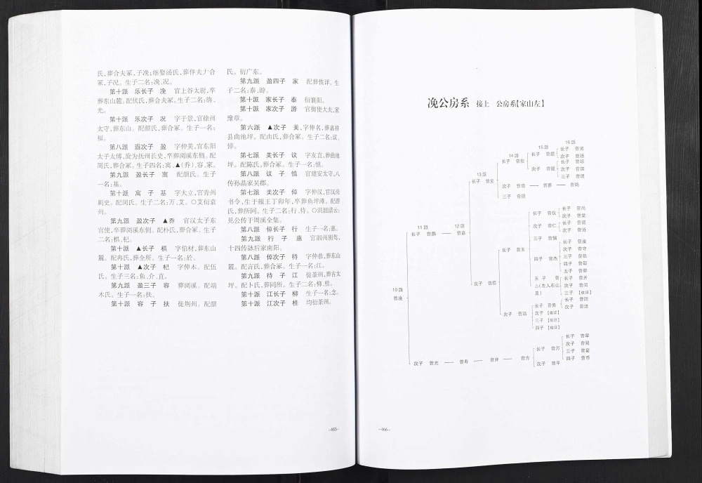图片[8]-重庆大足区武城曾氏续修族谱电子版PDF下载-中华家谱网