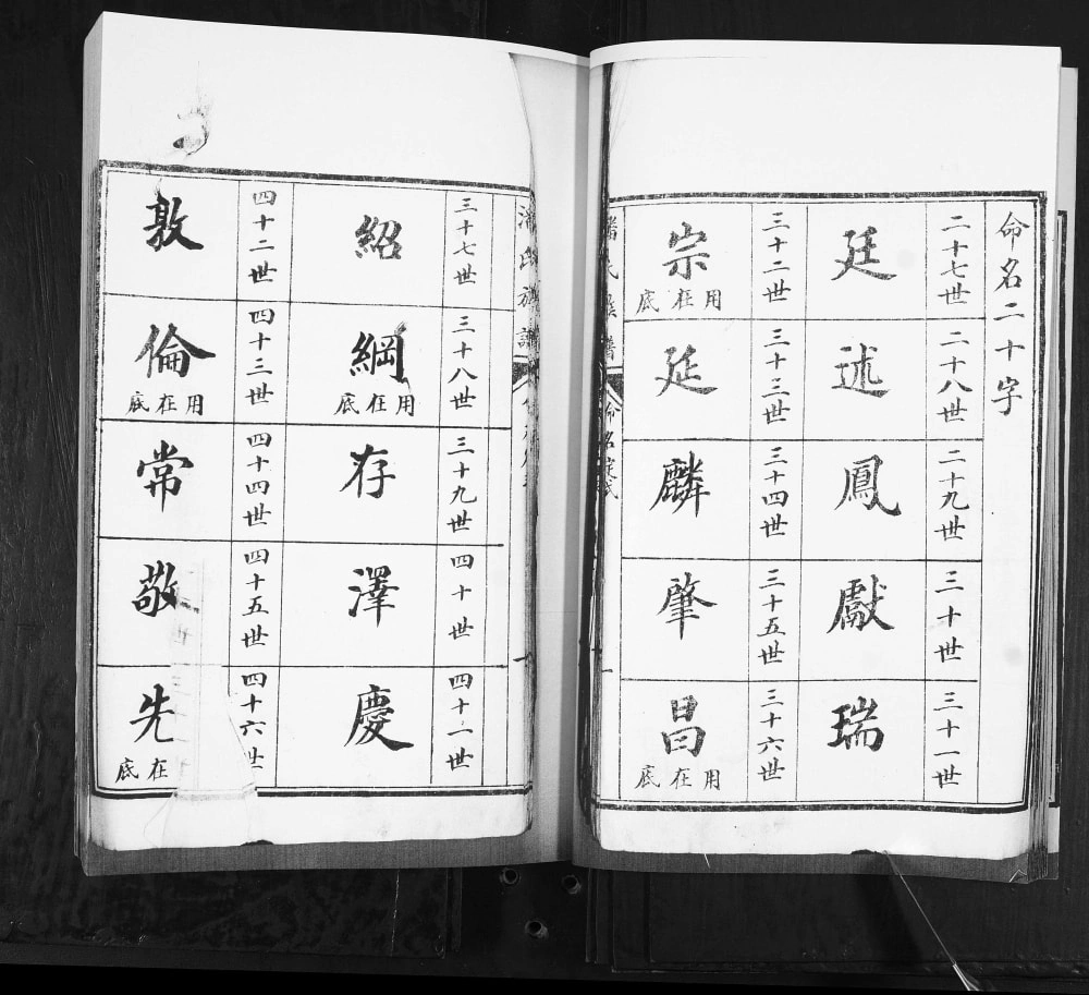 图片[3]-山东青岛即墨潘家泊潘氏族谱电子版PDF下载-中华家谱网