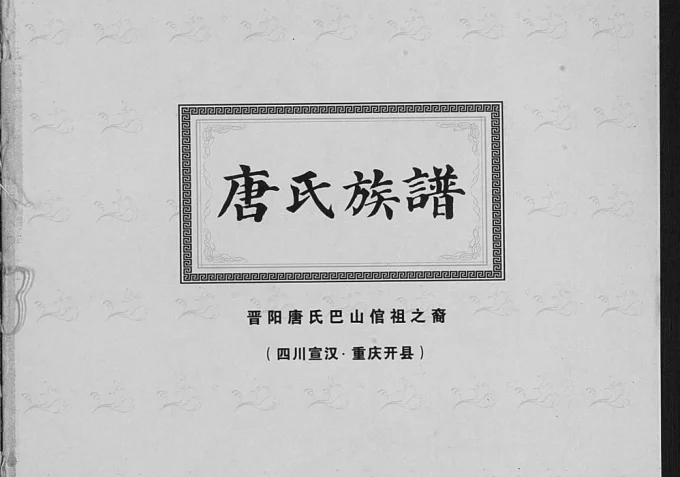 四川达州宣汉重庆开州区唐氏族谱电子版PDF下载-中华家谱网