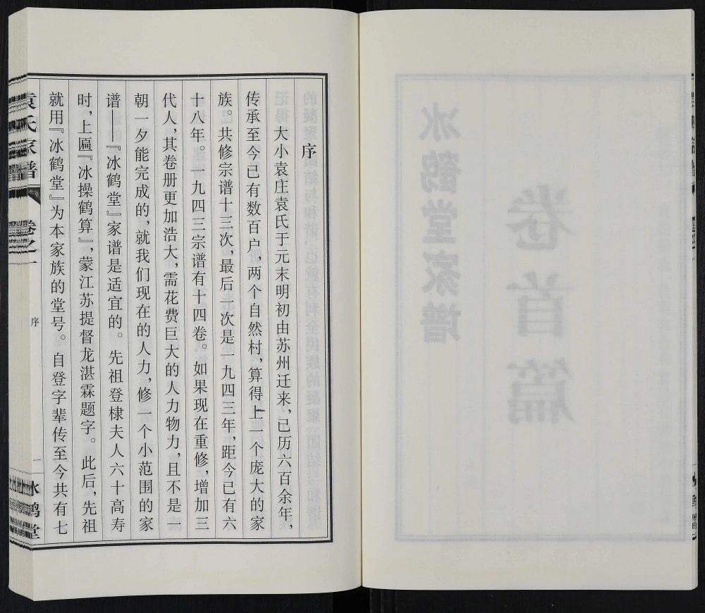 图片[3]-江苏扬州维扬江都袁氏分支家谱（冰鹤堂）电子版PDF下载-中华家谱网