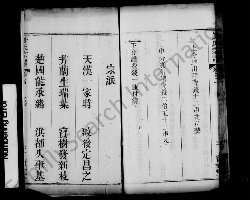 图片[4]-湖北黄冈吕阳村谢氏宗谱（宝树堂）电子版PDF下载-中华家谱网