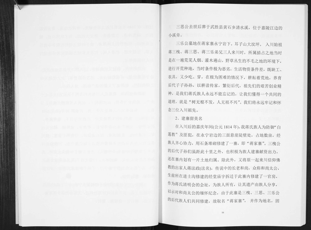 图片[6]-四川广安岳池蒋氏族谱电子版PDF下载-中华家谱网