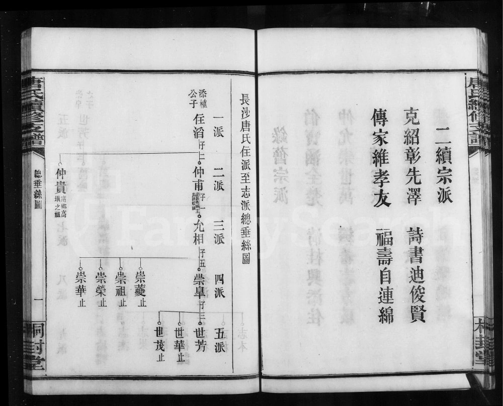 图片[4]-湖南长沙唐氏续修支谱（桐封堂）电子版PDF下载-中华家谱网