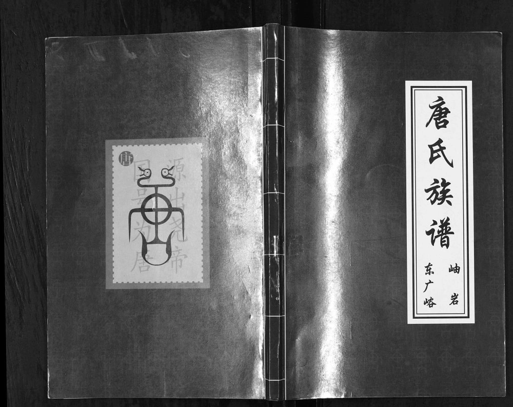 图片[1]-辽宁鞍山岫岩唐氏族谱电子版PDF下载-中华家谱网