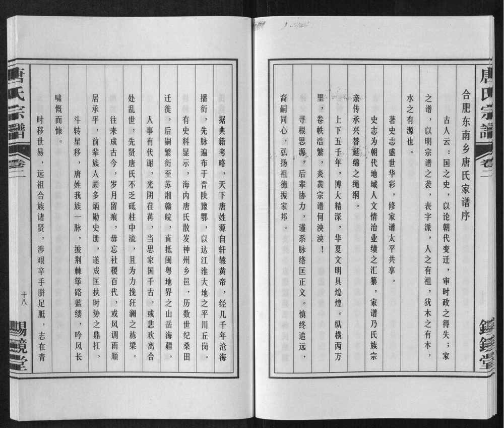 图片[2]-安徽合肥唐氏宗谱（锡镜堂）电子版PDF下载-中华家谱网