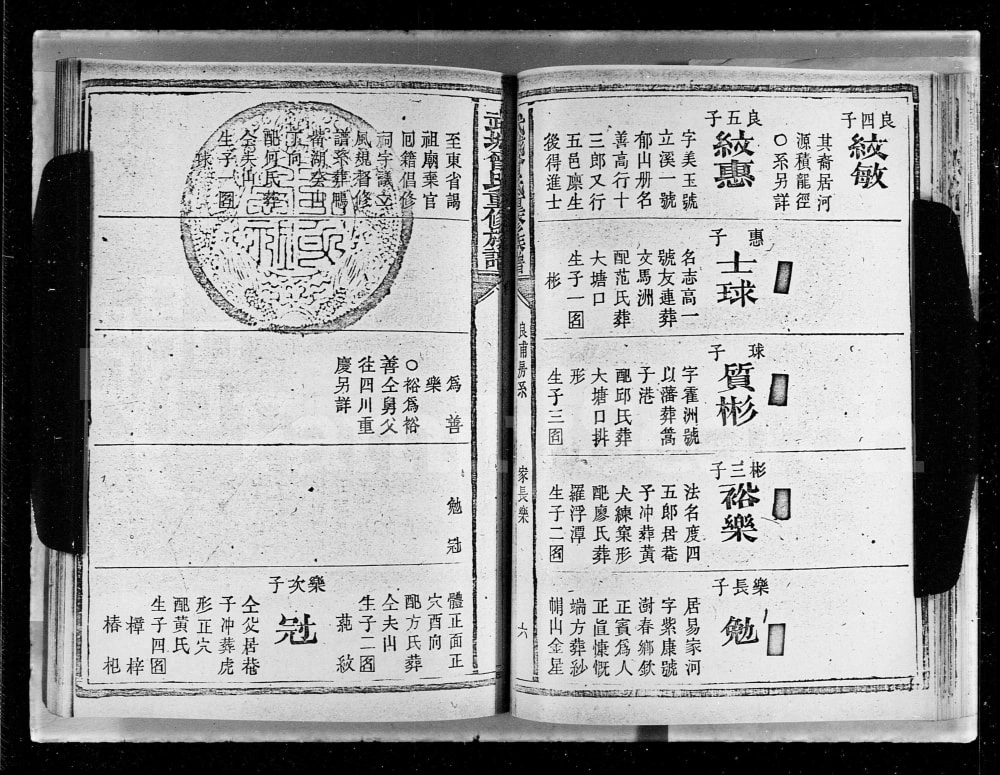 图片[6]-广东惠州紫金县武城曾氏重修族谱电子版PDF下载-中华家谱网