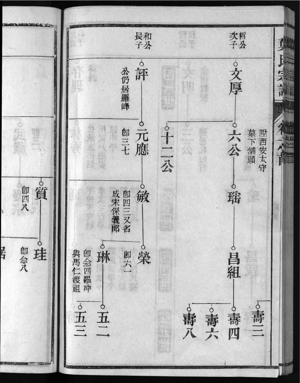 图片[8]-安徽芜湖南陵孔村叶氏重修宗谱电子版PDF下载-中华家谱网