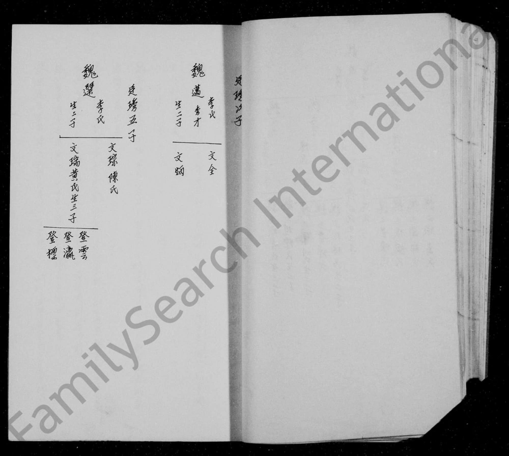 图片[8]-四川资阳魏氏族谱电子版PDF下载-中华家谱网