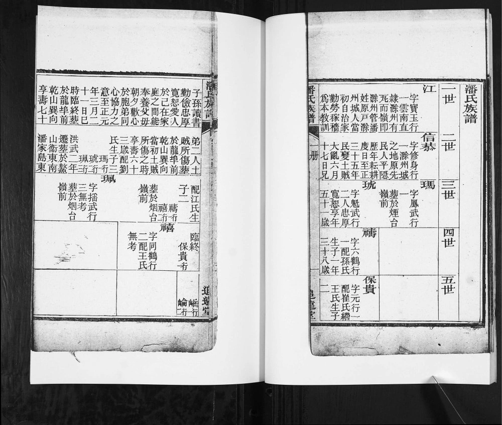 图片[6]-山东莱阳潘氏族谱（追远堂）电子版PDF下载-中华家谱网