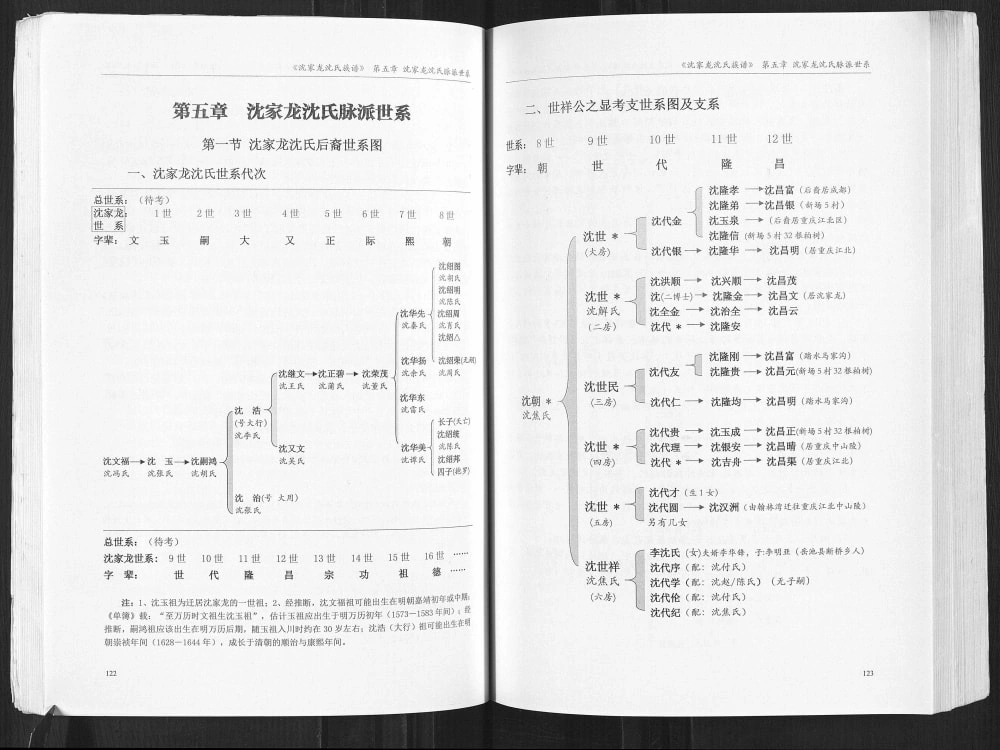 图片[8]-四川广安武胜县沈家龙沈氏族谱（善德堂）电子版PDF下载-中华家谱网