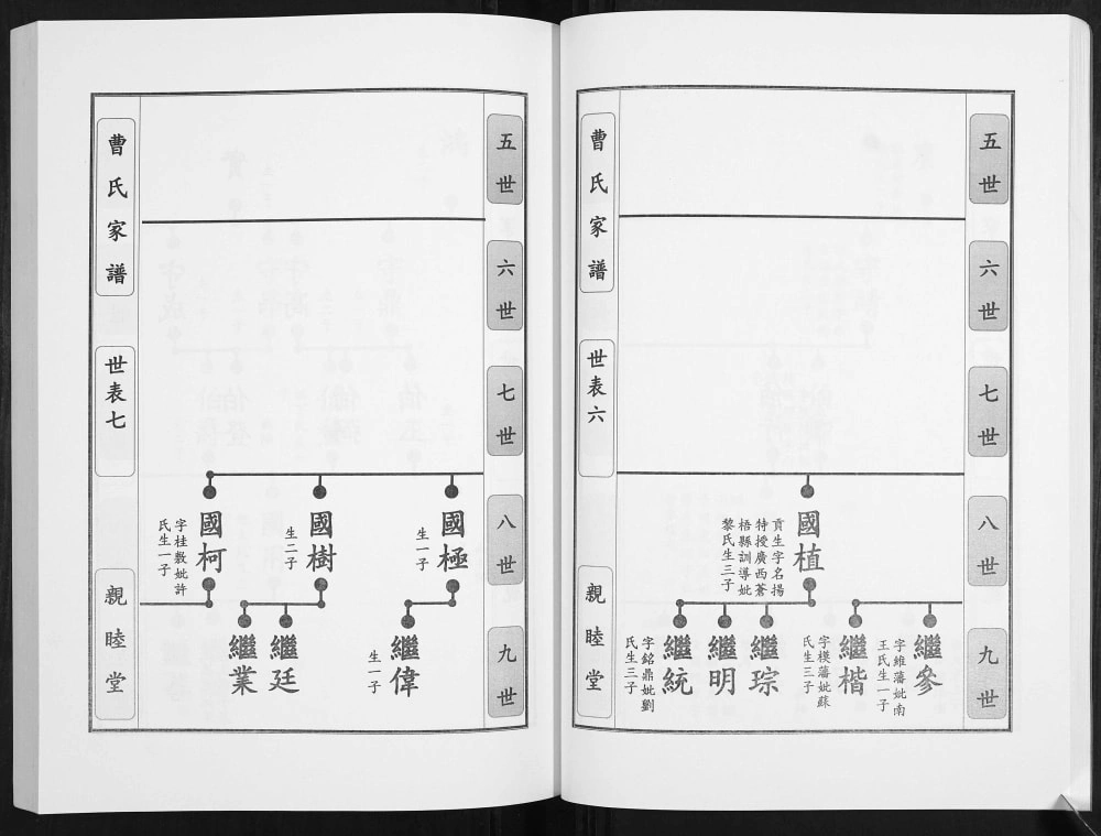 图片[8]-贵州黔东南锦屏县曹氏家谱（亲睦堂）电子版PDF下载-中华家谱网