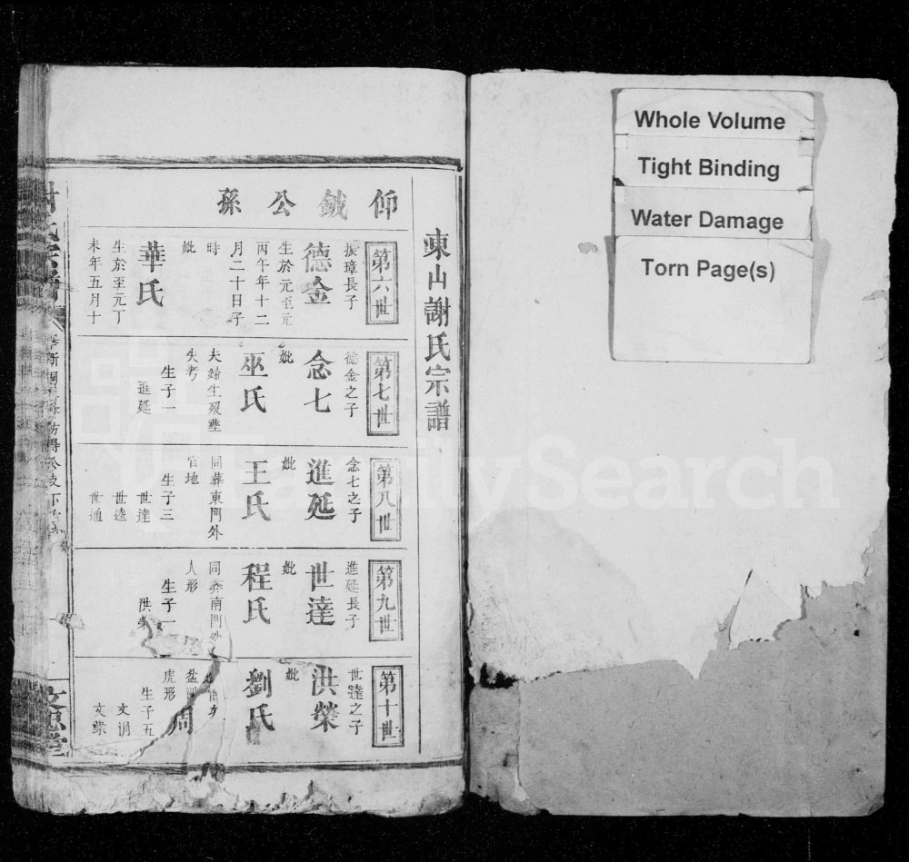 图片[6]-江西奉新谢氏宗谱（文忠堂）电子版PDF下载-中华家谱网