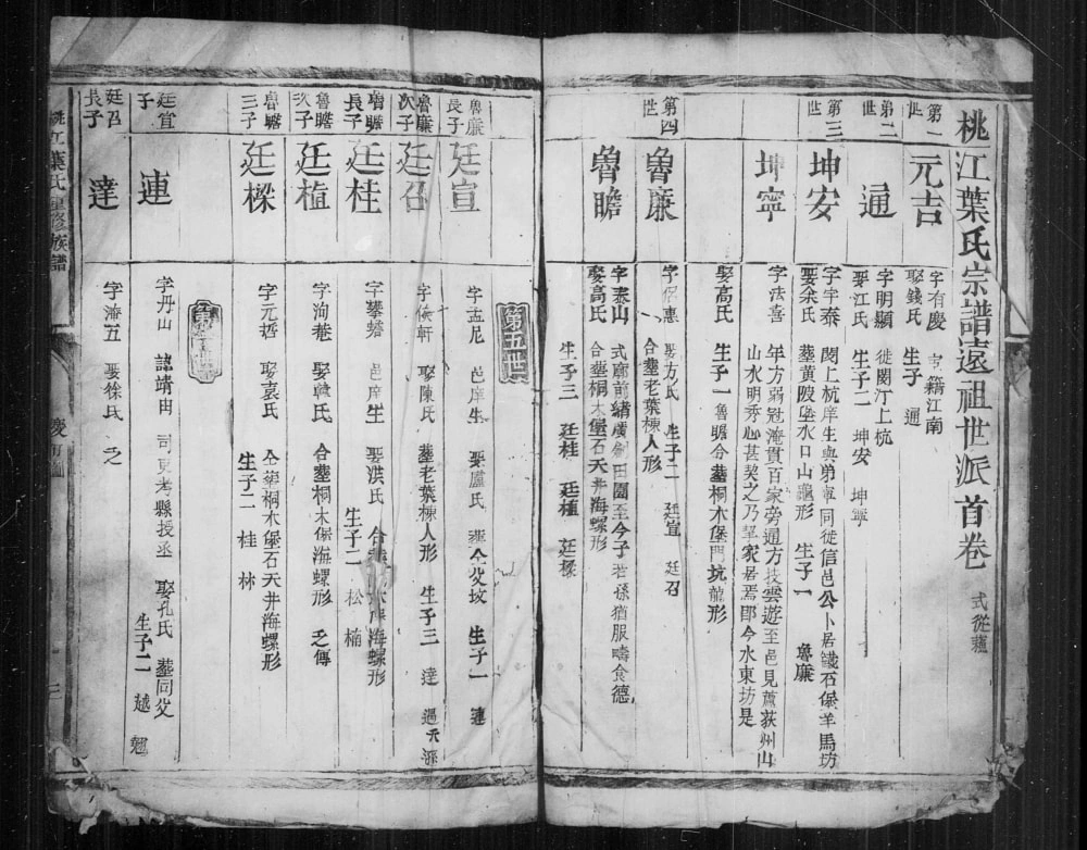 图片[5]-江西赣州信丰县桃江叶氏重修族谱电子版PDF下载-中华家谱网