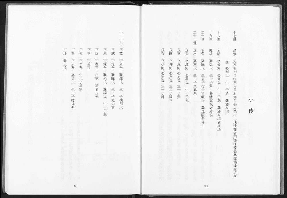 图片[8]-湖北荆州江陵苏氏宗谱（新安堂）电子版PDF下载-中华家谱网