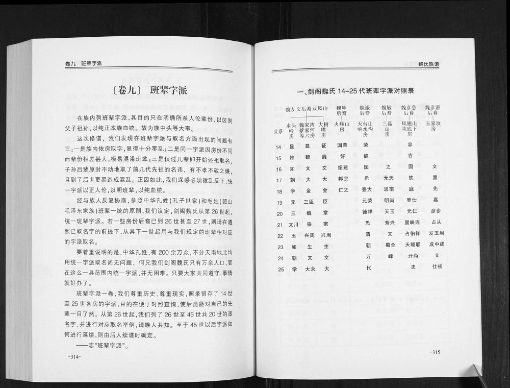 图片[7]-四川广元剑阁魏氏族谱电子版PDF下载-中华家谱网