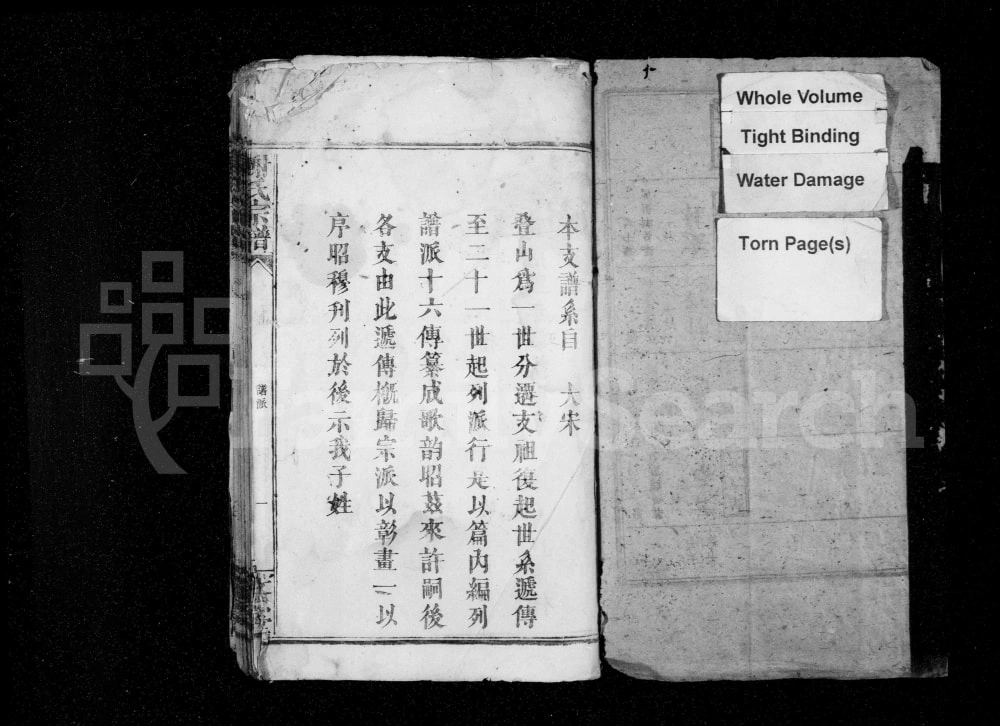 图片[2]-江西奉新谢氏宗谱（文忠堂）电子版PDF下载-中华家谱网