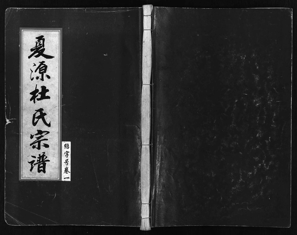 图片[1]-浙江东阳夏源杜氏宗谱电子版PDF下载-中华家谱网