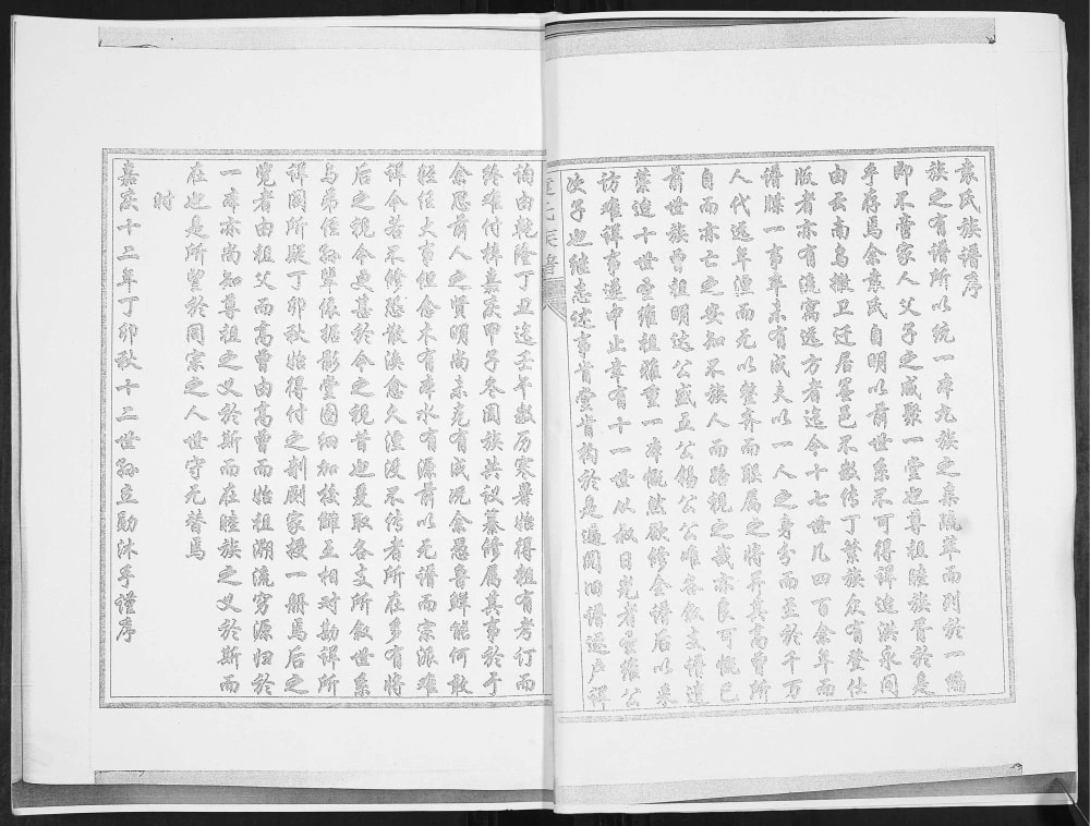 图片[2]-山东青岛城阳袁氏族谱电子版PDF下载-中华家谱网