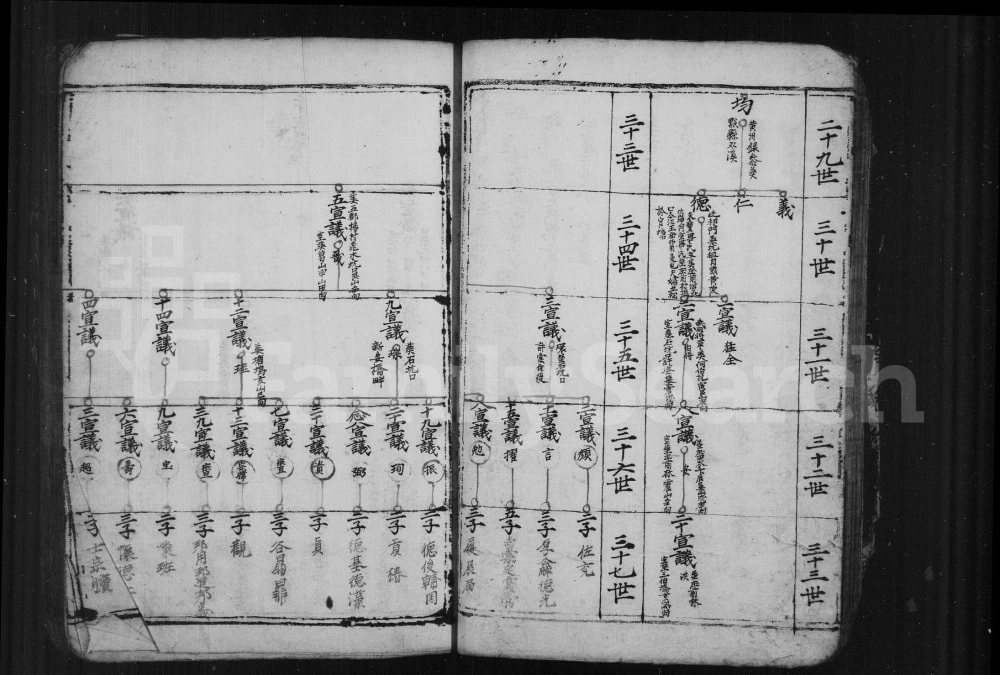 图片[5]-安徽黄山祁门县续编许氏族谱电子版PDF下载-中华家谱网