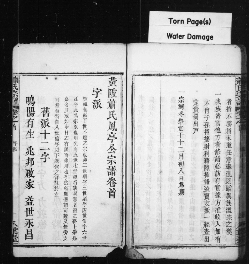 图片[3]-湖北武汉黄陂区萧(肖)氏凤亭公宗谱（八叶堂）电子版PDF下载-中华家谱网