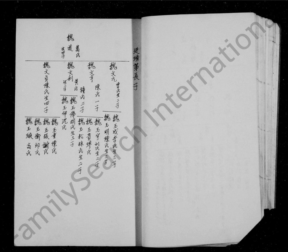 图片[7]-四川资阳魏氏族谱电子版PDF下载-中华家谱网