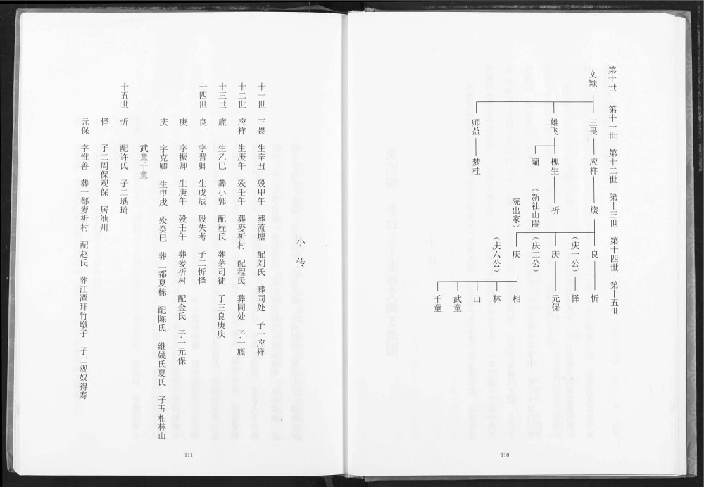图片[5]-湖北荆州江陵苏氏宗谱（新安堂）电子版PDF下载-中华家谱网