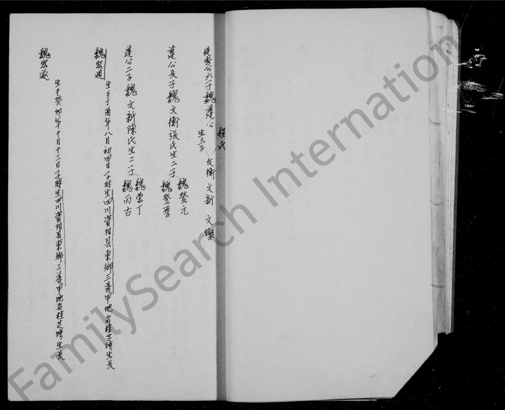 图片[5]-四川资阳魏氏族谱电子版PDF下载-中华家谱网