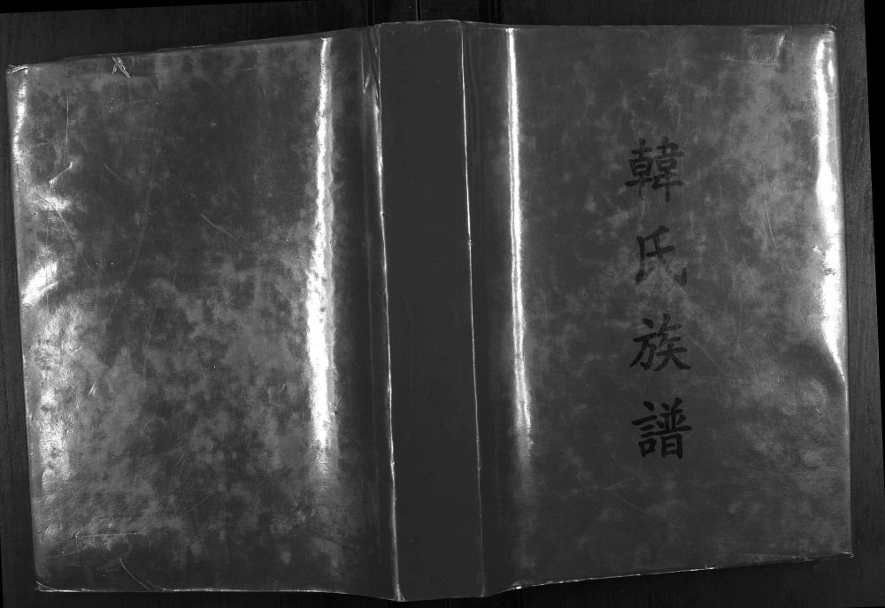 图片[1]-广西韩氏族谱（南阳堂）电子版PDF下载-中华家谱网