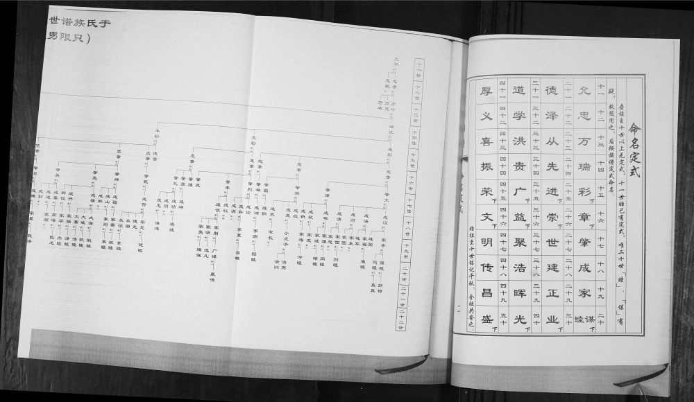 图片[5]-山东青岛即墨南泉镇乔戈庄村于氏族谱电子版PDF下载-中华家谱网