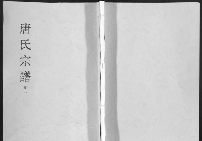 安徽合肥唐氏宗谱(锡镜堂)电子版PDF下载-中华家谱网