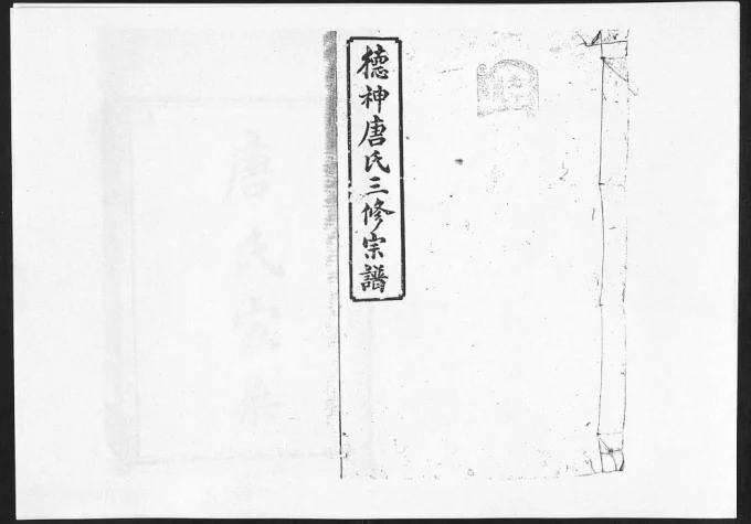 湖南衡阳德神唐氏三修宗谱(树德堂)电子版PDF下载-中华家谱网