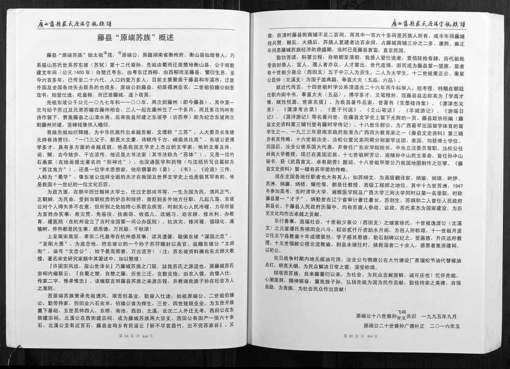 图片[4]-广西梧州藤县苏氏原端宗亲族谱电子版PDF下载-中华家谱网