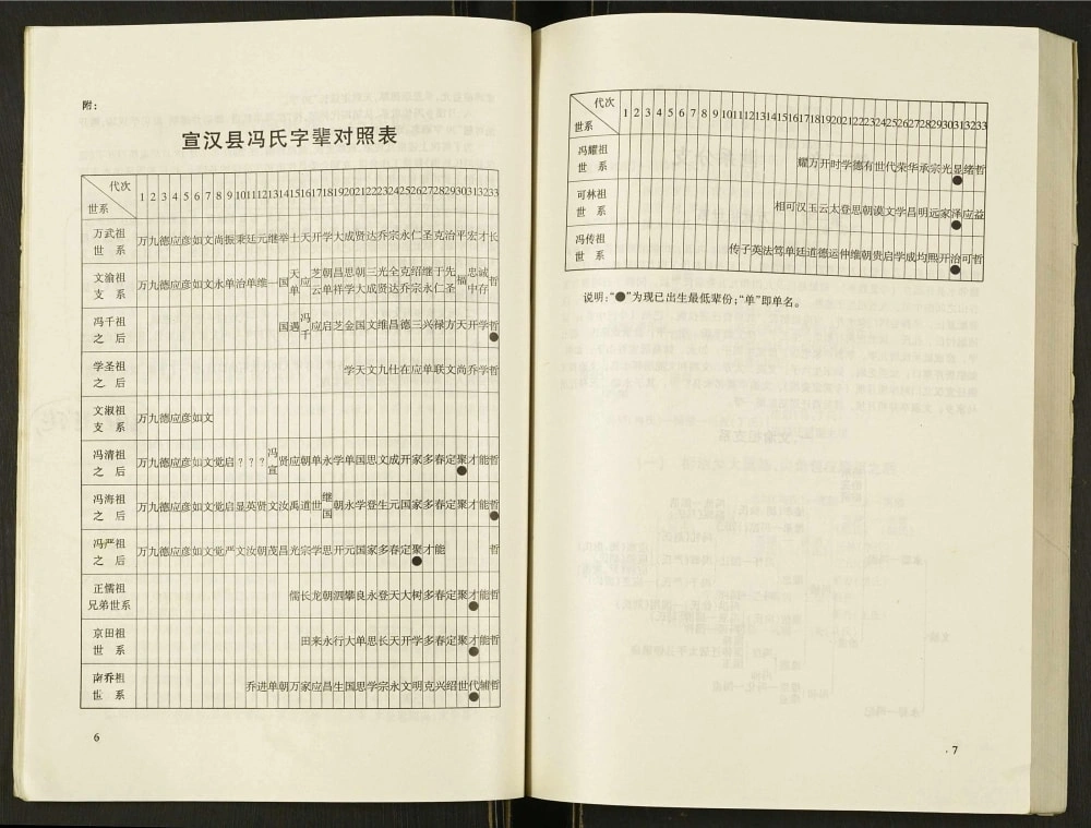 图片[6]-四川达州宣汉县冯氏族谱电子版PDF下载-中华家谱网