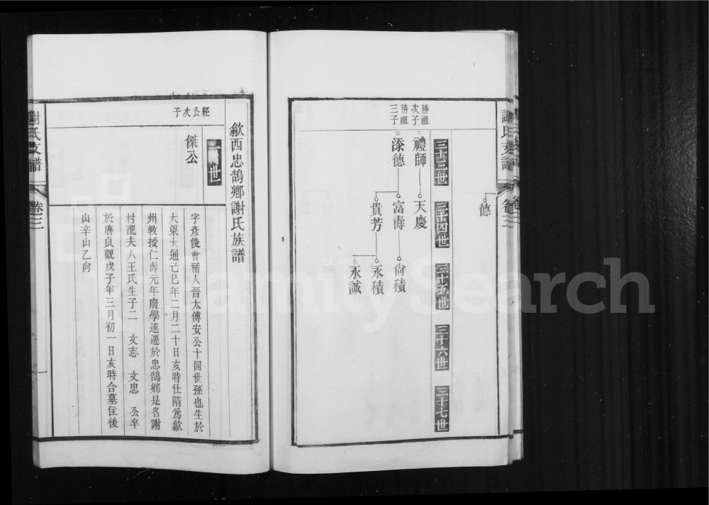 图片[5]-安徽黄山歙县歙西范川谢氏支谱电子版PDF下载-中华家谱网