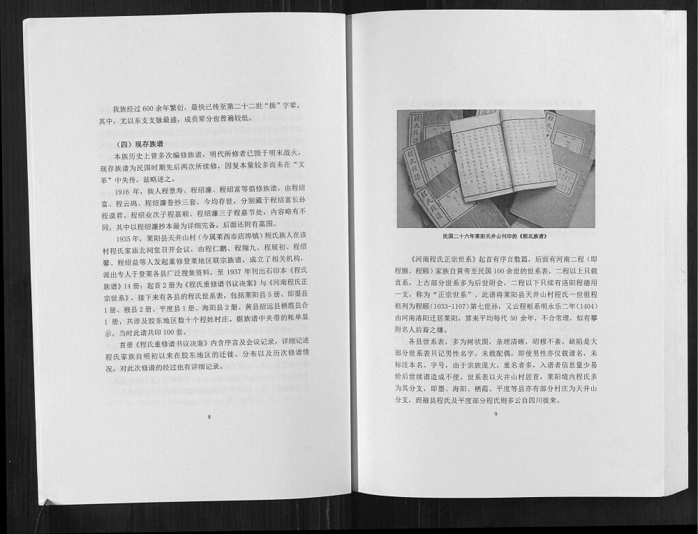 图片[4]-山东莱州东莱掖西程氏族谱电子版PDF下载-中华家谱网