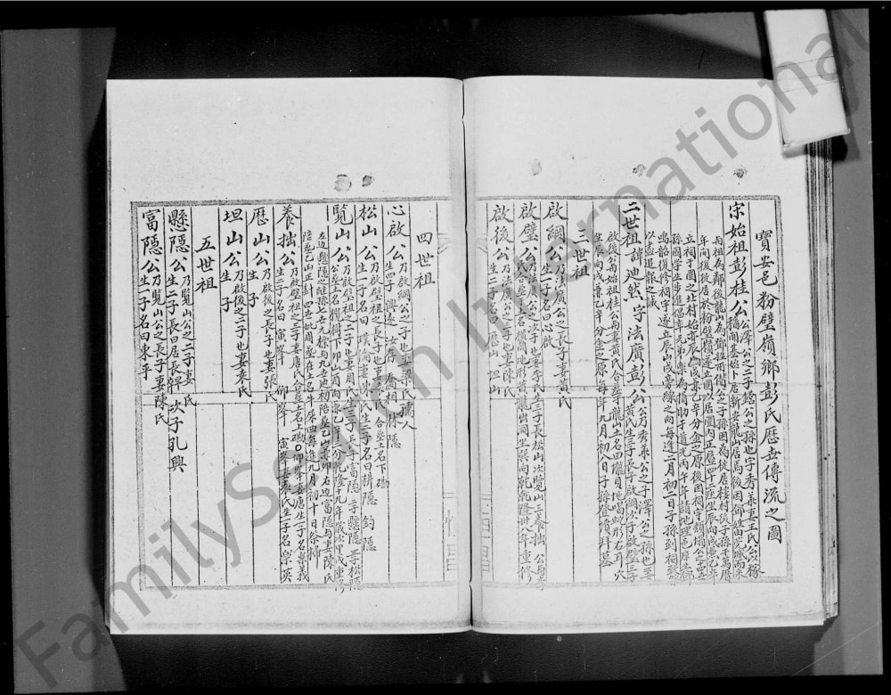 图片[3]-广东深圳宝安粉岭彭氏族谱电子版PDF下载-中华家谱网