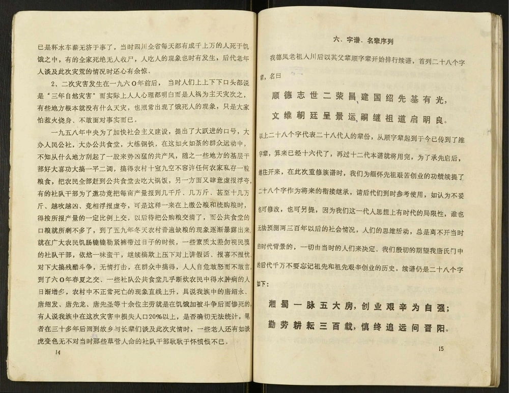 图片[5]-四川南充营山唐氏宗谱电子版PDF下载-中华家谱网