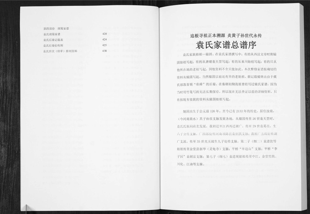 图片[2]-四川德阳中江县袁氏族谱电子版PDF下载-中华家谱网