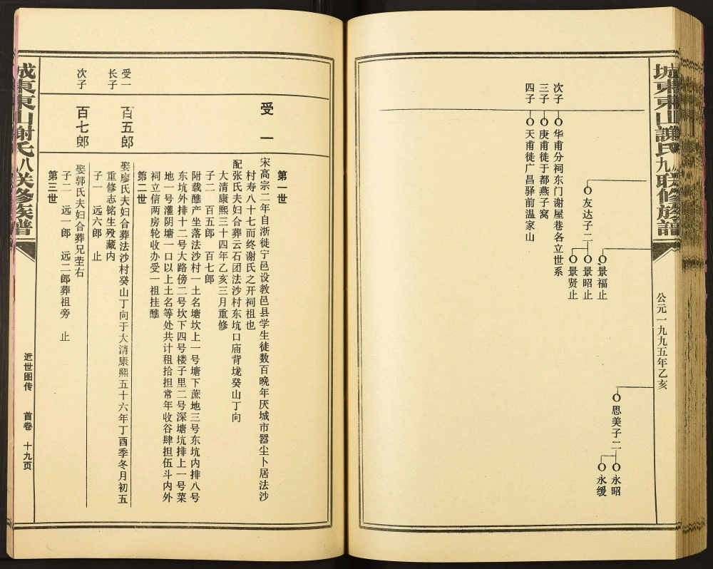 图片[7]-江西赣州宁都县城东东山谢氏八九联修族谱电子版PDF下载-中华家谱网